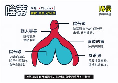 磨陰|陰莖摩擦